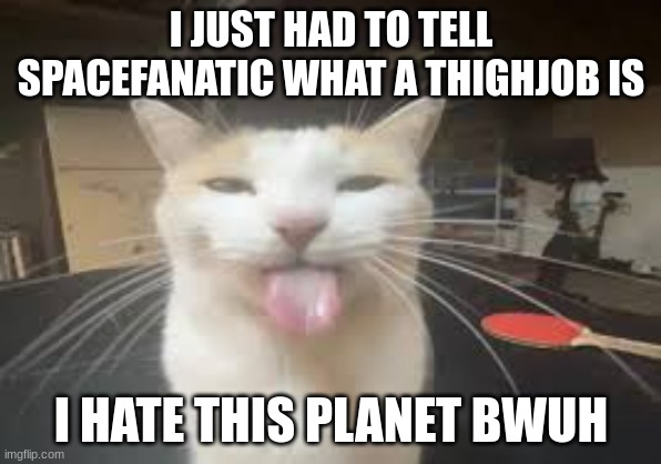 Cat | I JUST HAD TO TELL SPACEFANATIC WHAT A THIGHJOB IS; I HATE THIS PLANET BWUH | image tagged in cat | made w/ Imgflip meme maker