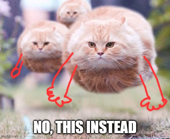 Flying cats | NO, THIS INSTEAD | image tagged in flying cats | made w/ Imgflip meme maker