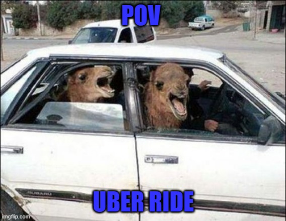 Uber be like | POV; UBER RIDE | image tagged in memes,quit hatin | made w/ Imgflip meme maker