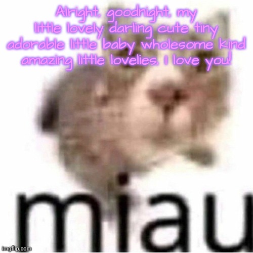 miau | Alright, goodnight, my little lovely darling cute tiny adorable little baby wholesome kind amazing little lovelies, I love you! | image tagged in miau,lovelies | made w/ Imgflip meme maker