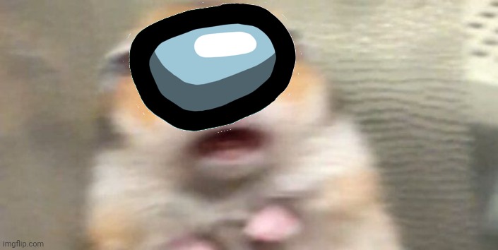 Screaming Hampster | image tagged in screaming hampster | made w/ Imgflip meme maker