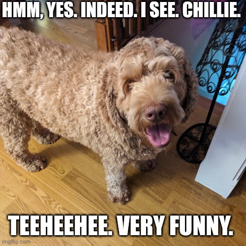 5 star Comedy | HMM, YES. INDEED. I SEE. CHILLIE. TEEHEEHEE. VERY FUNNY. | image tagged in chillie | made w/ Imgflip meme maker