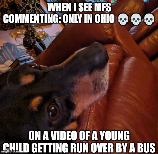 Only in Ohio mfs be like | WHEN I SEE MFS COMMENTING: ONLY IN OHIO 💀💀💀; ON A VIDEO OF A YOUNG CHILD GETTING RUN OVER BY A BUS | image tagged in ohio,only in ohio,the fance | made w/ Imgflip meme maker