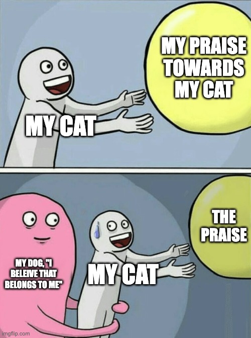 Running Away Balloon | MY PRAISE TOWARDS MY CAT; MY CAT; THE PRAISE; MY DOG, "I BELEIVE THAT BELONGS TO ME"; MY CAT | image tagged in memes,running away balloon | made w/ Imgflip meme maker