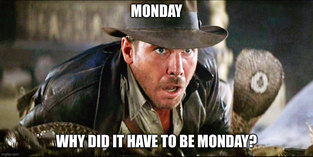 Indiana Jones Snakes | MONDAY; WHY DID IT HAVE TO BE MONDAY? | image tagged in indiana jones snakes | made w/ Imgflip meme maker
