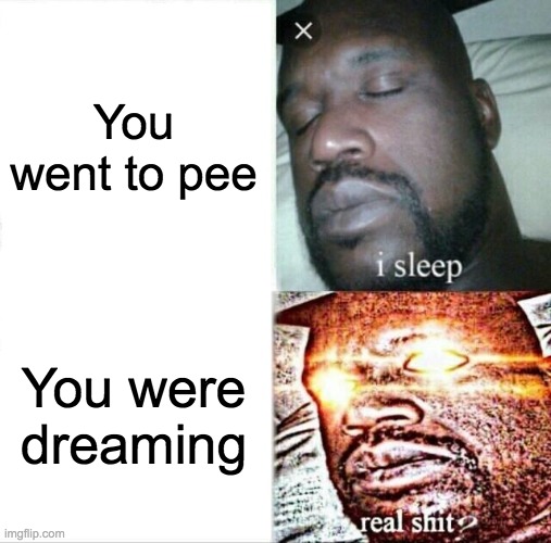 Sleeping Shaq Meme | You went to pee; You were dreaming | image tagged in memes,sleeping shaq | made w/ Imgflip meme maker