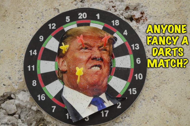 Darts, anyone? | ANYONE 
FANCY A
DARTS
MATCH? | image tagged in trump dart board | made w/ Imgflip meme maker