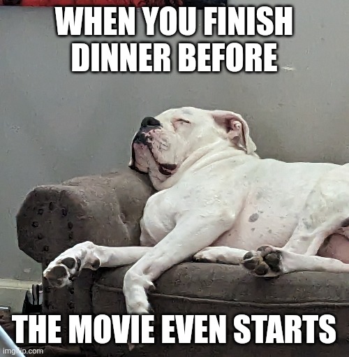 Gogy likes movies... | WHEN YOU FINISH DINNER BEFORE; THE MOVIE EVEN STARTS | image tagged in gogy,going,movies,dinner,eating | made w/ Imgflip meme maker