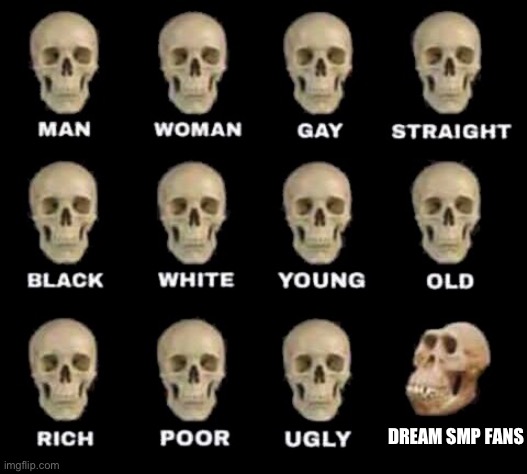 If you disagree go to hell (joking this isn’t twitter now) | DREAM SMP FANS | image tagged in man woman gay straight skull | made w/ Imgflip meme maker