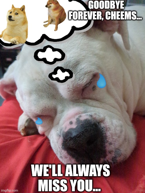 So long, buddy | GOODBYE FOREVER, CHEEMS... WE'LL ALWAYS MISS YOU... | image tagged in gogy,going,sad,dog,cheems | made w/ Imgflip meme maker