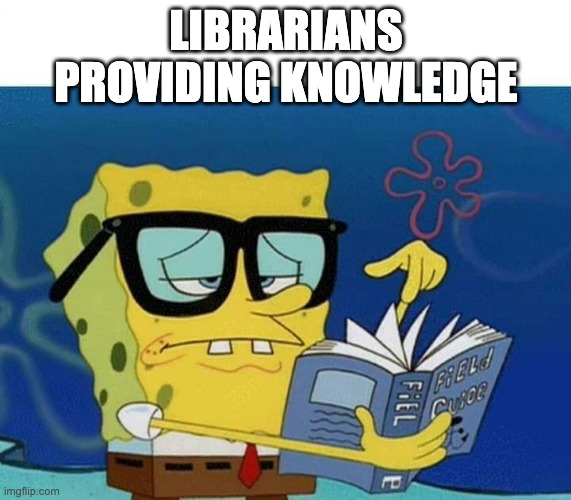 Librarians Providing Knowledge Meme