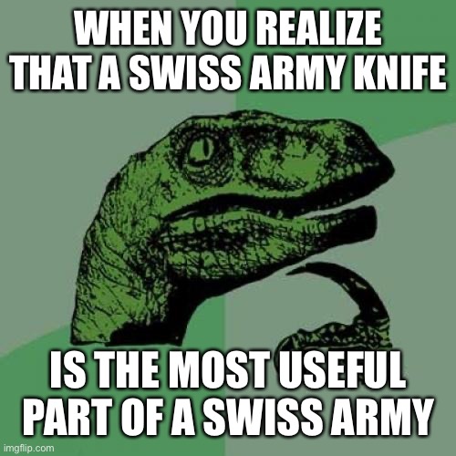 Philosoraptor | WHEN YOU REALIZE THAT A SWISS ARMY KNIFE; IS THE MOST USEFUL PART OF A SWISS ARMY | image tagged in memes,philosoraptor | made w/ Imgflip meme maker