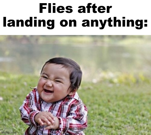 Evil Toddler | Flies after landing on anything: | image tagged in memes,evil toddler | made w/ Imgflip meme maker