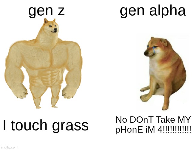 . | gen z; gen alpha; I touch grass; No DOnT Take MY pHonE iM 4!!!!!!!!!!!! | image tagged in memes,buff doge vs cheems | made w/ Imgflip meme maker