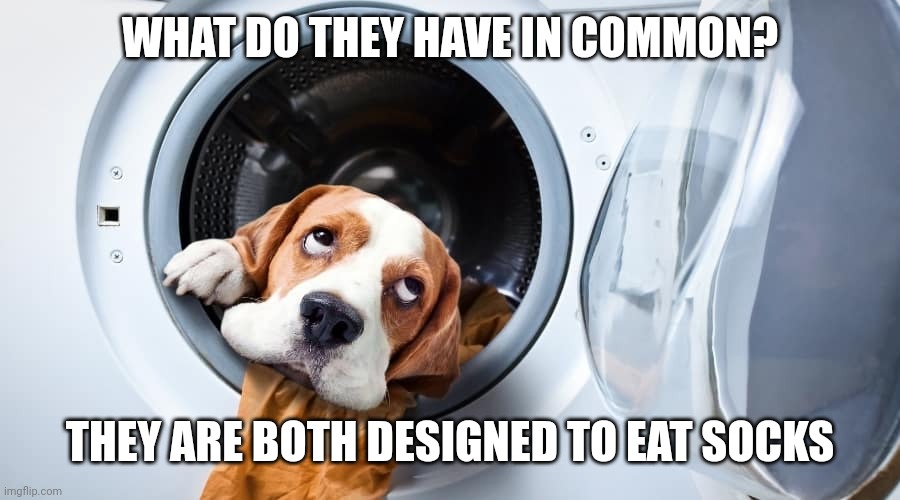 Dog and dryer | WHAT DO THEY HAVE IN COMMON? THEY ARE BOTH DESIGNED TO EAT SOCKS | image tagged in dog and dryer | made w/ Imgflip meme maker