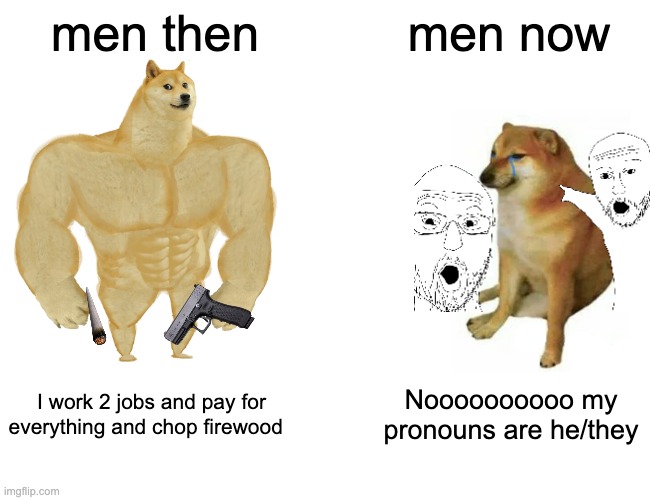 Buff Doge vs. Cheems Meme | men then; men now; I work 2 jobs and pay for everything and chop firewood; Noooooooooo my pronouns are he/they | image tagged in memes,buff doge vs cheems | made w/ Imgflip meme maker