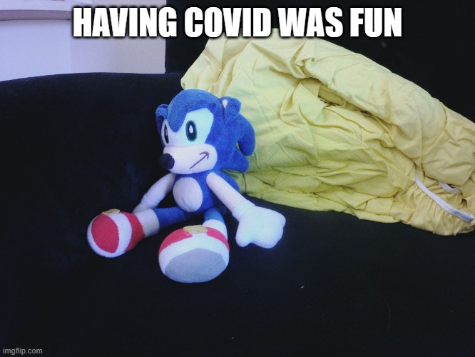 sonic questioning life | HAVING COVID WAS FUN | image tagged in sonic questioning life | made w/ Imgflip meme maker