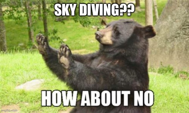 How About No Bear Meme | SKY DIVING?? | image tagged in memes,how about no bear | made w/ Imgflip meme maker