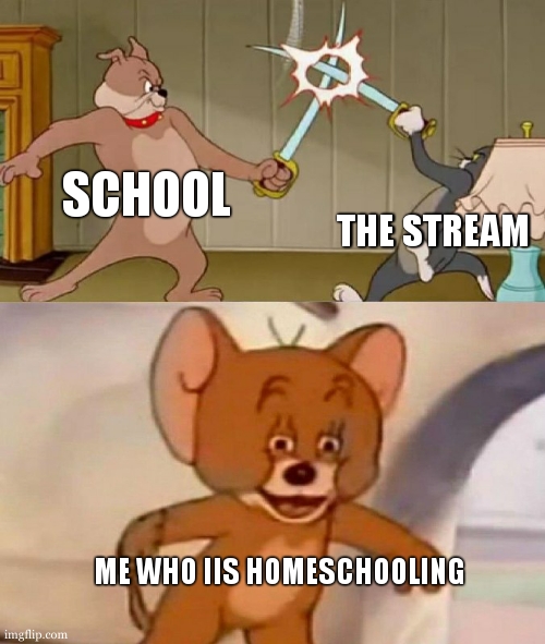 Tom and Jerry swordfight | SCHOOL THE STREAM ME WHO IIS HOMESCHOOLING | image tagged in tom and jerry swordfight | made w/ Imgflip meme maker