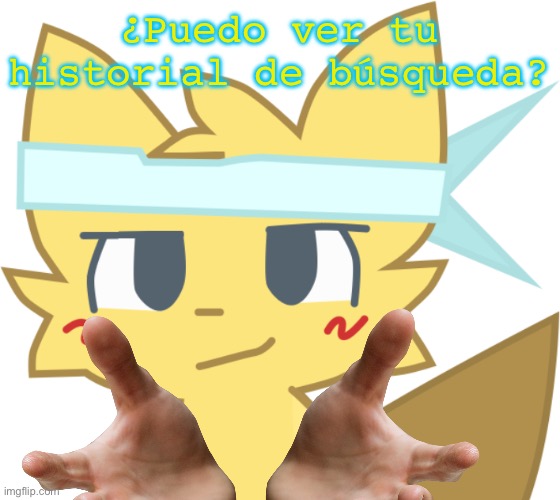 Él está en las paredes ayudar a ayudar | ¿Puedo ver tu historial de búsqueda? | image tagged in l est en las paredes ayudar a ayudar | made w/ Imgflip meme maker