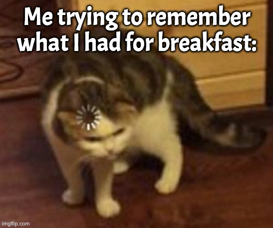 Loading cat | Me trying to remember what I had for breakfast: | image tagged in loading cat | made w/ Imgflip meme maker