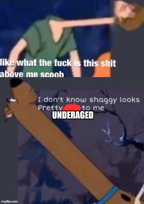 I don't know, seems pretty legit to me | UNDERAGED | image tagged in i don't know seems pretty legit to me | made w/ Imgflip meme maker