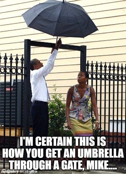 No really, I got this | I'M CERTAIN THIS IS HOW YOU GET AN UMBRELLA THROUGH A GATE, MIKE.... | image tagged in no really i got this | made w/ Imgflip meme maker