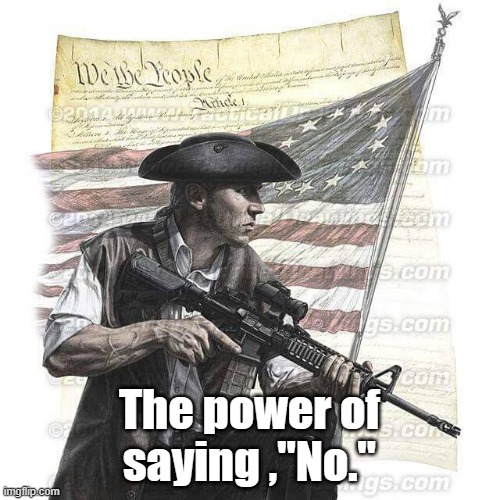 American Patriot | The power of saying ,"No." | image tagged in american patriot | made w/ Imgflip meme maker