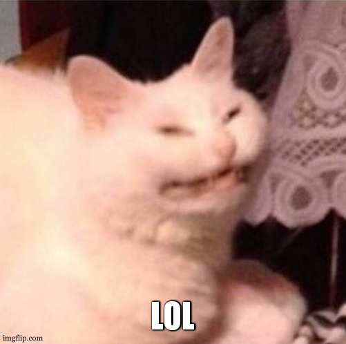 Cat Laughing | LOL | image tagged in cat laughing | made w/ Imgflip meme maker