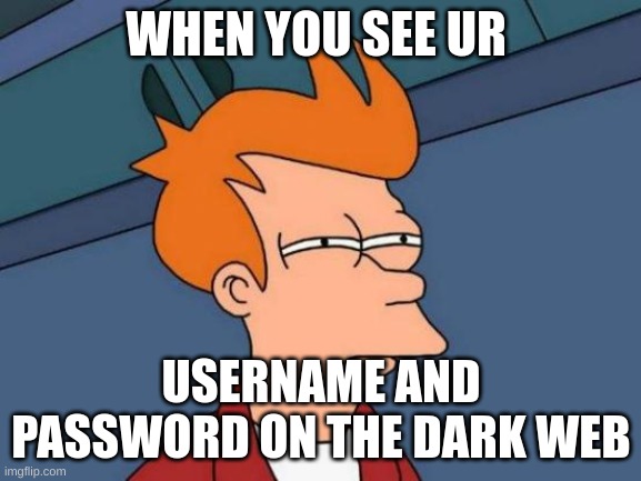 panik | WHEN YOU SEE UR; USERNAME AND PASSWORD ON THE DARK WEB | image tagged in memes,futurama fry,lol,funny,xd,hacker | made w/ Imgflip meme maker