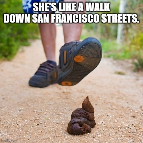 Poop Shoe | SHE'S LIKE A WALK DOWN SAN FRANCISCO STREETS. | image tagged in poop shoe | made w/ Imgflip meme maker