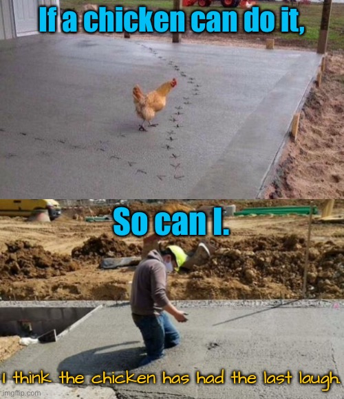 So can I | If a chicken can do it, So can I. I think the chicken has had the last laugh. | image tagged in wet concrete,if a chicken can,so can i,no you cannot,chicken had last laugh,fun | made w/ Imgflip meme maker