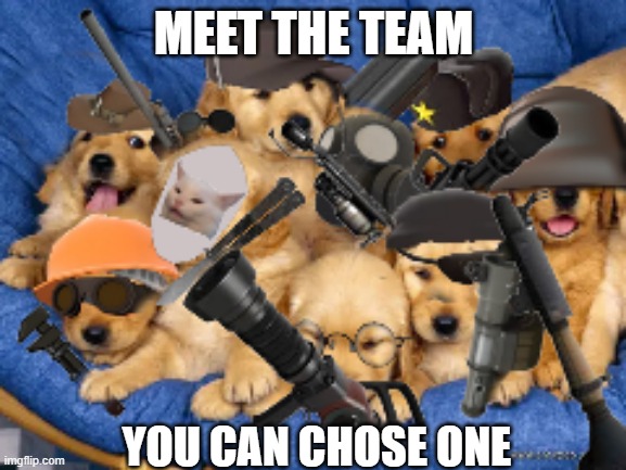 meet the team | MEET THE TEAM; YOU CAN CHOSE ONE | image tagged in puppyfortress 2,dogs,team fortress 2 | made w/ Imgflip meme maker