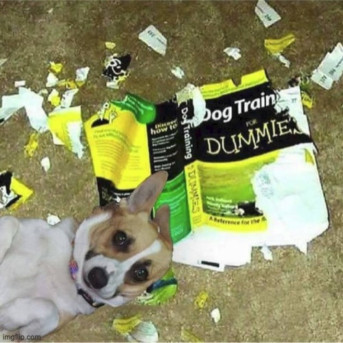 It's all in the book | image tagged in dogs | made w/ Imgflip meme maker
