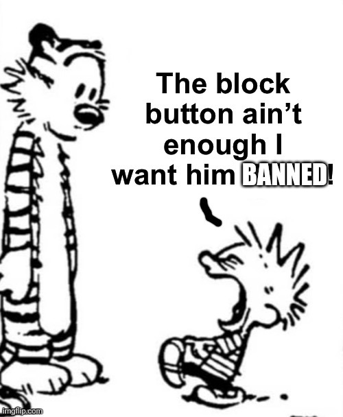 the block button aint enough i want him dead | BANNED | image tagged in the block button aint enough i want him dead | made w/ Imgflip meme maker