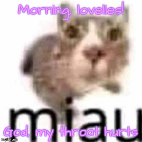 miau | Morning, lovelies! God, my throat hurts | image tagged in miau,lovelies | made w/ Imgflip meme maker