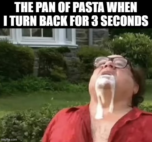 pasta | THE PAN OF PASTA WHEN I TURN BACK FOR 3 SECONDS | image tagged in pasta,memes,funny,relatable memes | made w/ Imgflip meme maker