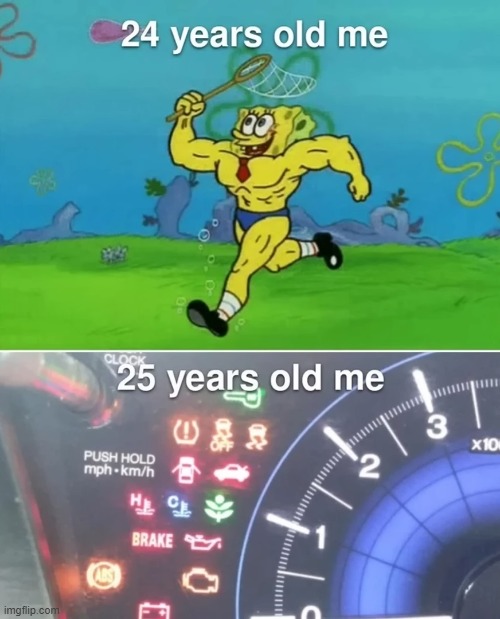 image tagged in memes | made w/ Imgflip meme maker