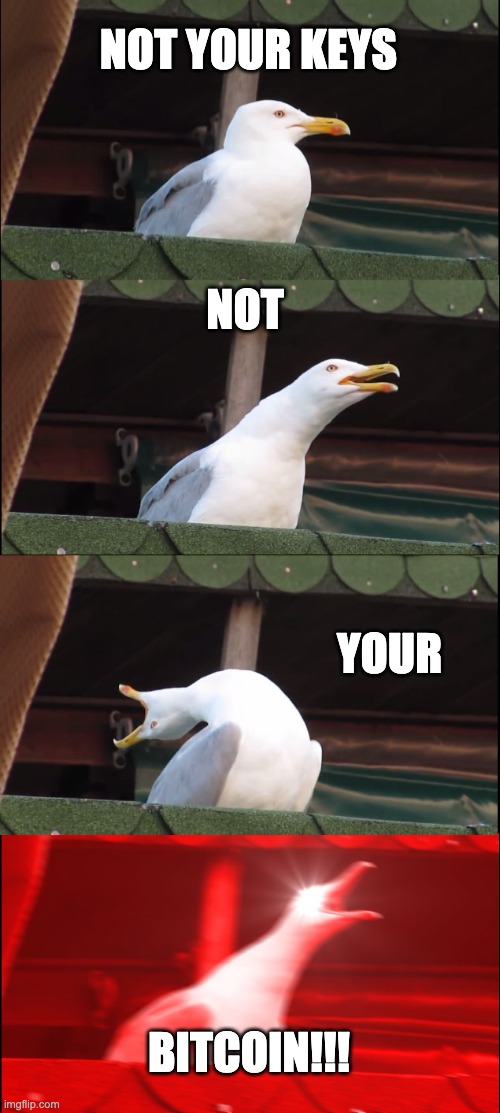 not your key not your bitcoin | NOT YOUR KEYS; NOT; YOUR; BITCOIN!!! | image tagged in memes,inhaling seagull | made w/ Imgflip meme maker