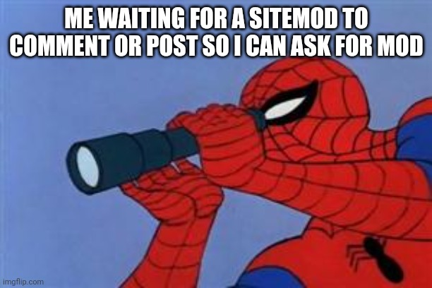 Spiderman binoculars | ME WAITING FOR A SITEMOD TO COMMENT OR POST SO I CAN ASK FOR MOD | image tagged in spiderman binoculars | made w/ Imgflip meme maker