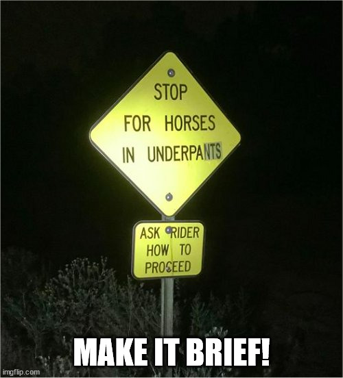 MAKE IT BRIEF! | image tagged in durl earl | made w/ Imgflip meme maker