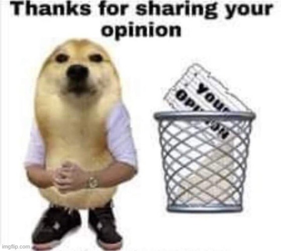 Thanks for your opinion | image tagged in thanks for your opinion | made w/ Imgflip meme maker