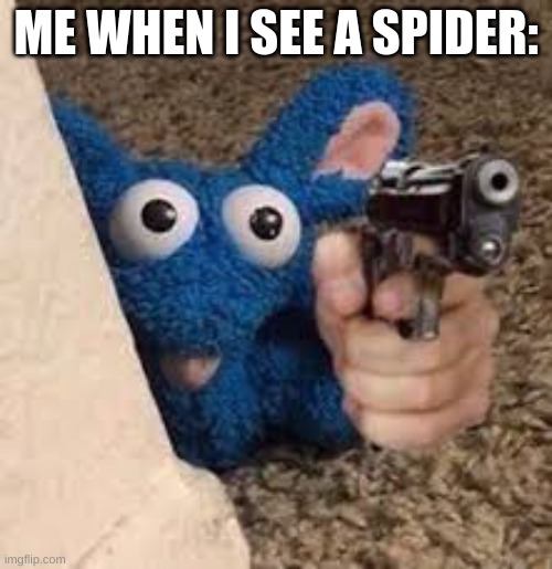 peace was never an option... | ME WHEN I SEE A SPIDER: | image tagged in die,spider | made w/ Imgflip meme maker