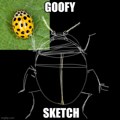 i had to make the background dark so you could see the sketch =_= | GOOFY; SKETCH | image tagged in sketch,art,insect | made w/ Imgflip meme maker