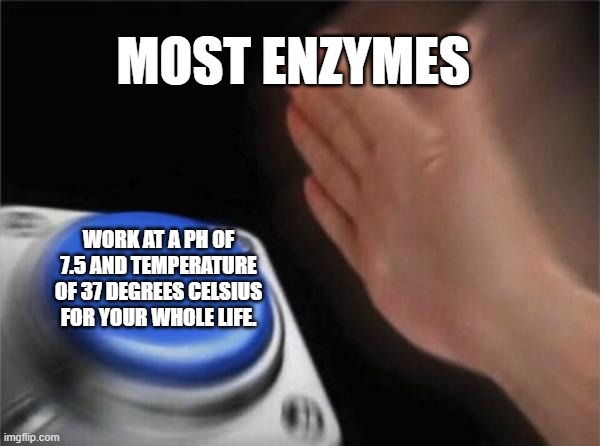 Enzymes meme | MOST ENZYMES; WORK AT A PH OF 7.5 AND TEMPERATURE OF 37 DEGREES CELSIUS FOR YOUR WHOLE LIFE. | image tagged in memes,blank nut button | made w/ Imgflip meme maker