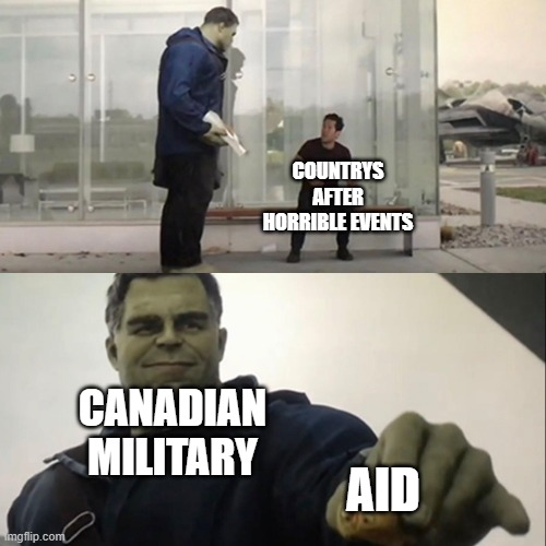 Hulk Taco | COUNTRYS AFTER HORRIBLE EVENTS; CANADIAN MILITARY; AID | image tagged in hulk taco | made w/ Imgflip meme maker