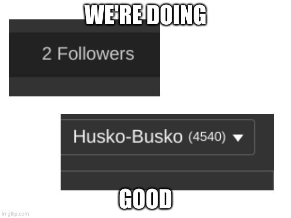 thank yall so much (who's my other follower?) | WE'RE DOING; GOOD | image tagged in cool,awesome | made w/ Imgflip meme maker