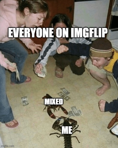 Todays Drama In a Nutshell | EVERYONE ON IMGFLIP; MIXED; ME | image tagged in lobster fight | made w/ Imgflip meme maker