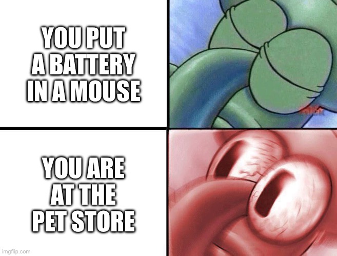 Oh no… | YOU PUT A BATTERY IN A MOUSE; YOU ARE AT THE PET STORE | image tagged in sleeping squidward,mouse,animals | made w/ Imgflip meme maker