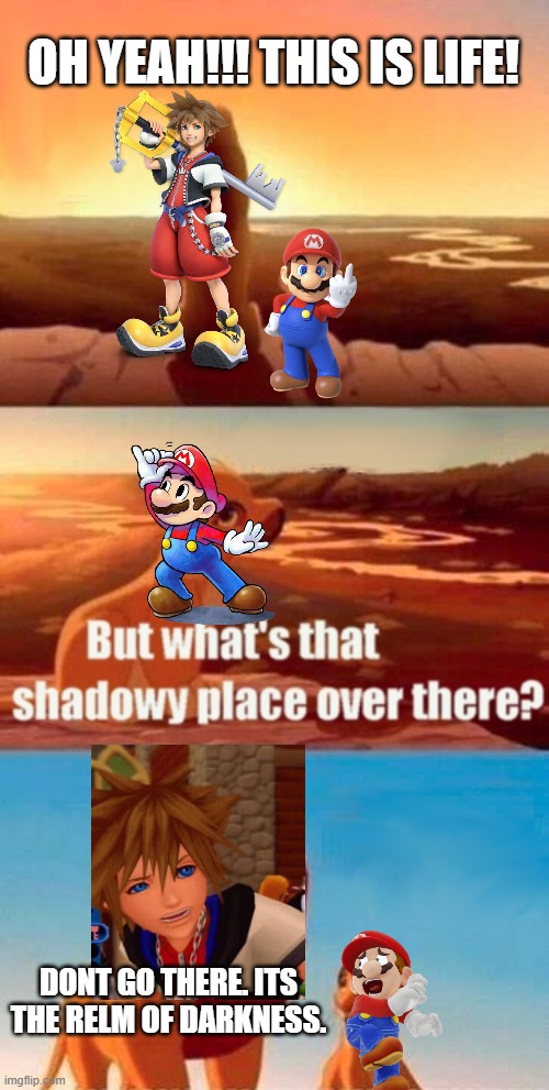 Simba Shadowy Place Meme | OH YEAH!!! THIS IS LIFE! DONT GO THERE. ITS THE RELM OF DARKNESS. | image tagged in memes,simba shadowy place | made w/ Imgflip meme maker